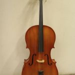 903 1164 Cello